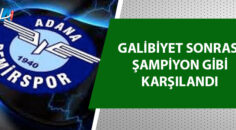 Adana Demirspor ikinciliğe yükseldi