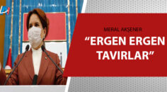 Meral Akşener ‘hakaret’ davası kapsamında ifade verdi