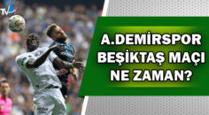 Y. Adana Demirspor – Beşiktaş maçının biletleri satışta