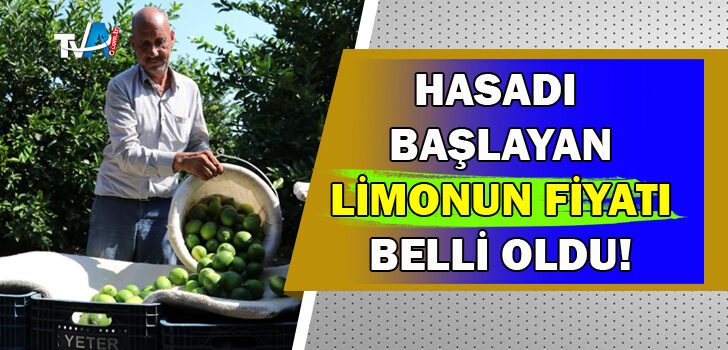 Türkiye’nin ilk limon hasadı Adana’da başladı